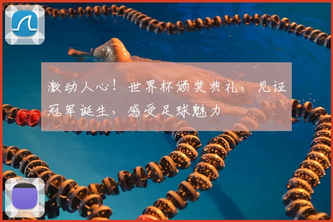 激动人心！世界杯颁奖典礼，见证冠军诞生，感受足球魅力