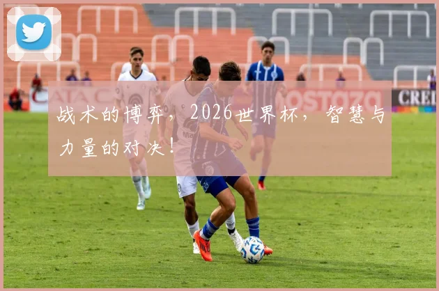 战术的博弈，2026世界杯，智慧与力量的对决！