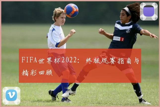 FIFA世界杯2022：终极观赛指南与精彩回顾
